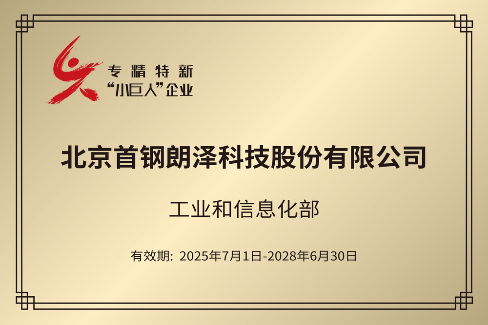 国家专精特新「小巨人」企业复审
